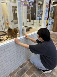 ☆ペットショップに行きました☆